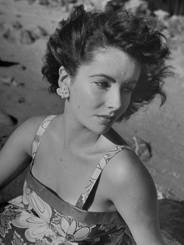 Elizabeth Taylor: a life in pictures