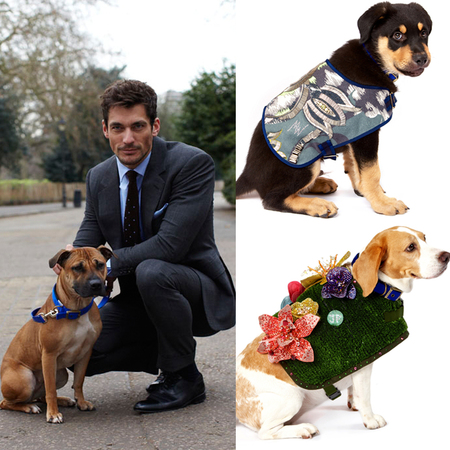 David Gandy and Battersea Dogwalk
