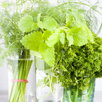 5 ways to use herbs in your food this Christmas