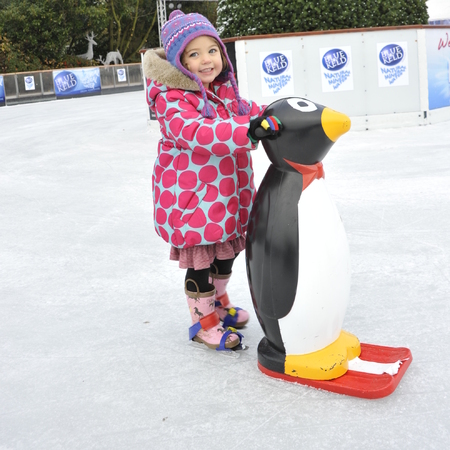 York Ice Factor