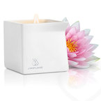 Jimmyjane aphrodisiac massage candles 