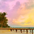 Holiday like a celeb in 2013