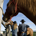 Experience the wonders of the Wild West