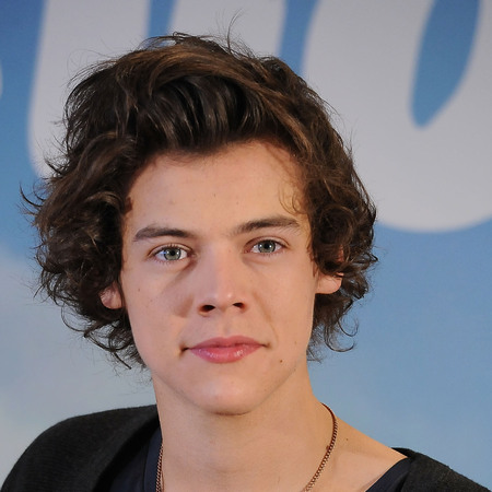 Harry Styles at 1D press conference