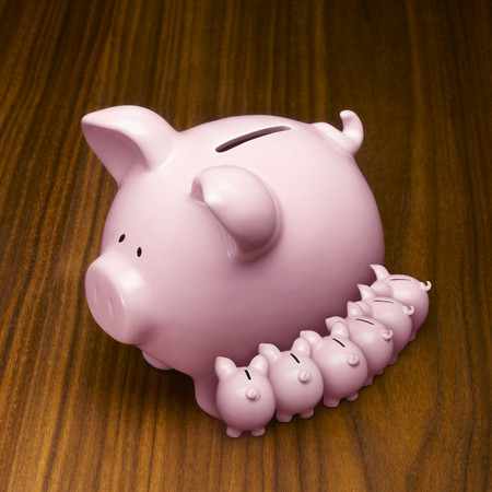 piggy bank