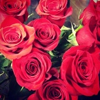 Valentine's Day Guide to dating and relationships