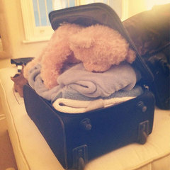 Millie Mackintosh packing suitcase