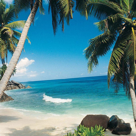 Getting married in the Seychelles