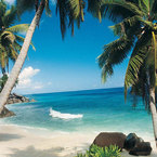 Have a paradise wedding in the Seychelles