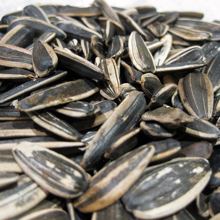 8 foods that combat tiredness