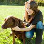 Looking for exercise inspiration? Take the dog for a walk