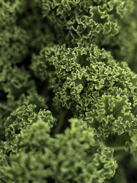 5 best anti-ageing foods