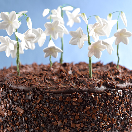 Snowdrop cake