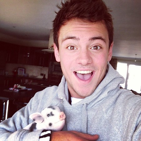 Tom Daley and his pet micro-pig