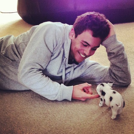 Tom Daley and his pet micro-pig