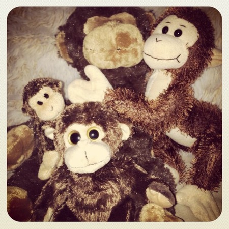 Cuddly toy monkeys