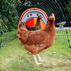Chicken house
