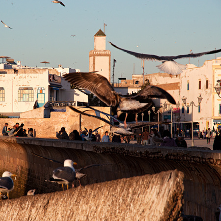 Morocco - game of thrones - epic locations - new series - travel bag - handbag.com
