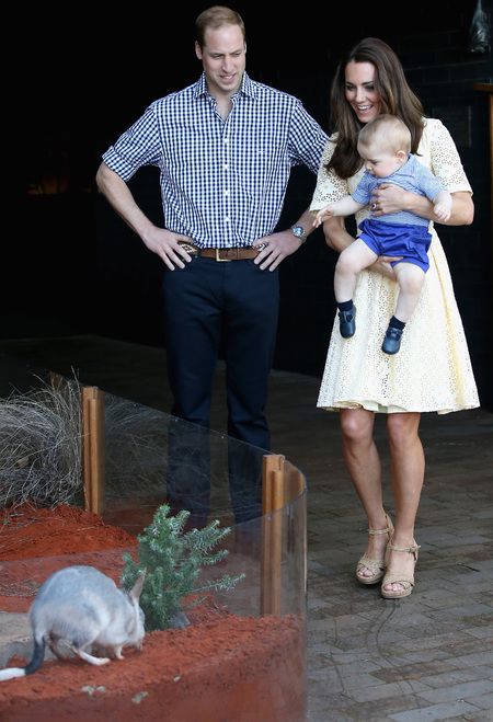 kate-middleton-cream-lace-dress-prince-william-baby-prince-george-royal-tour-taronga-zoo-australia.jpg