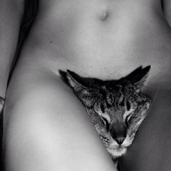 Candice Swanepoel - instagram - naked with cat - vagina - picture - handbag.com
