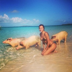 Irina Shayk - swimming with pigs - instagram - bahamas - travel bag - handbag.com