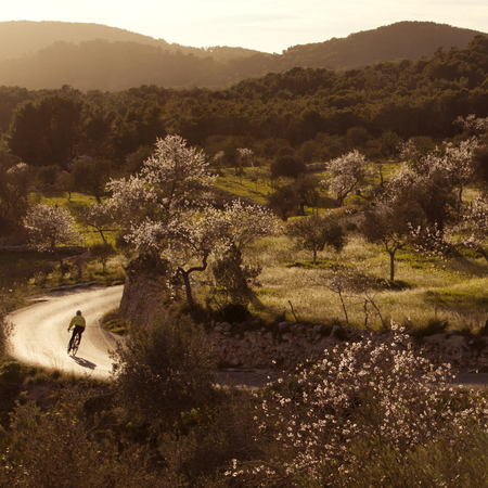 cycling - 5 reasons to visit the relaxing part of Ibiza - travel - feature - travel bag - handbag.com
